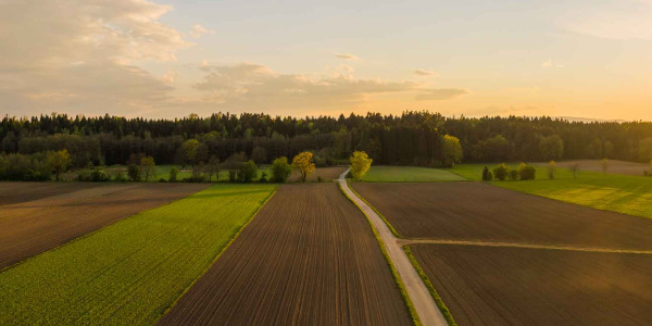 Ortofotogrametría estudios agroforestales